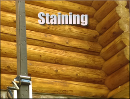  Pansey, Alabama Log Home Staining